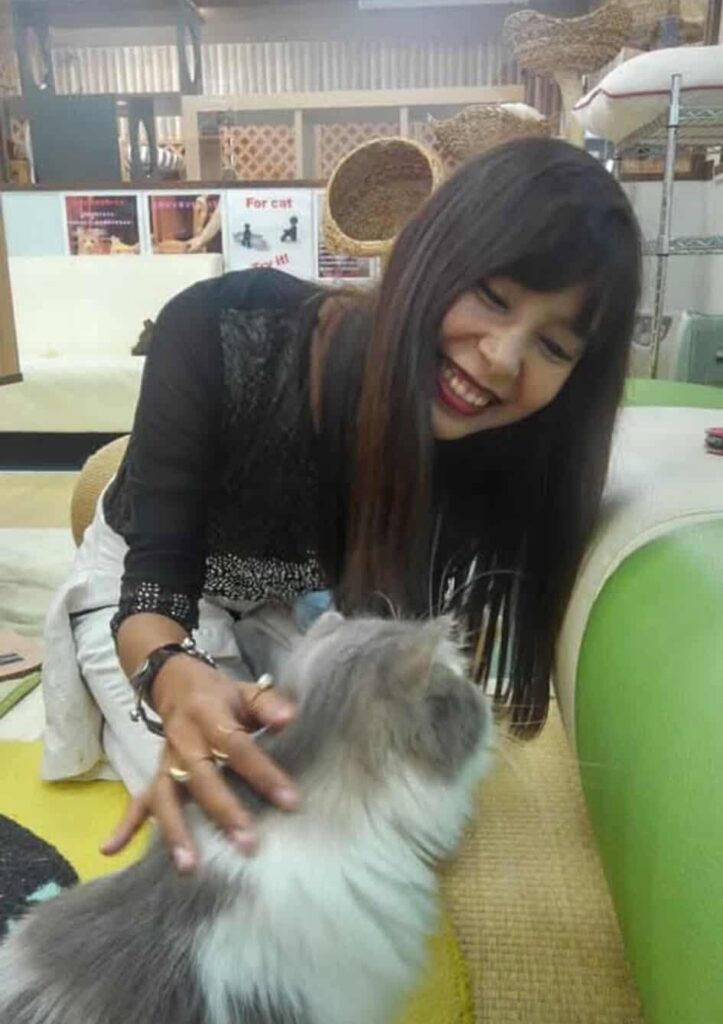 Garde de chats à domicile à Bayonne