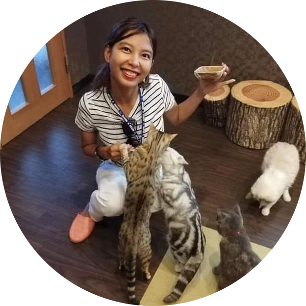 garde de chats à domicile à Bayonne